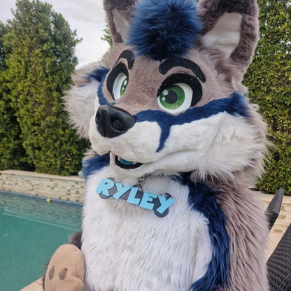 Fursuit Collar Nametag