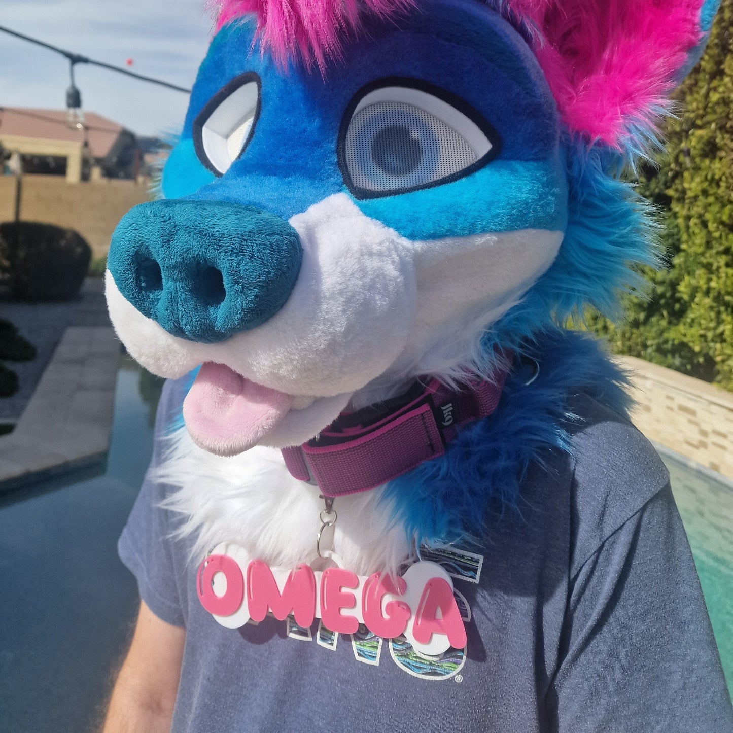 Fursuit Collar Nametag