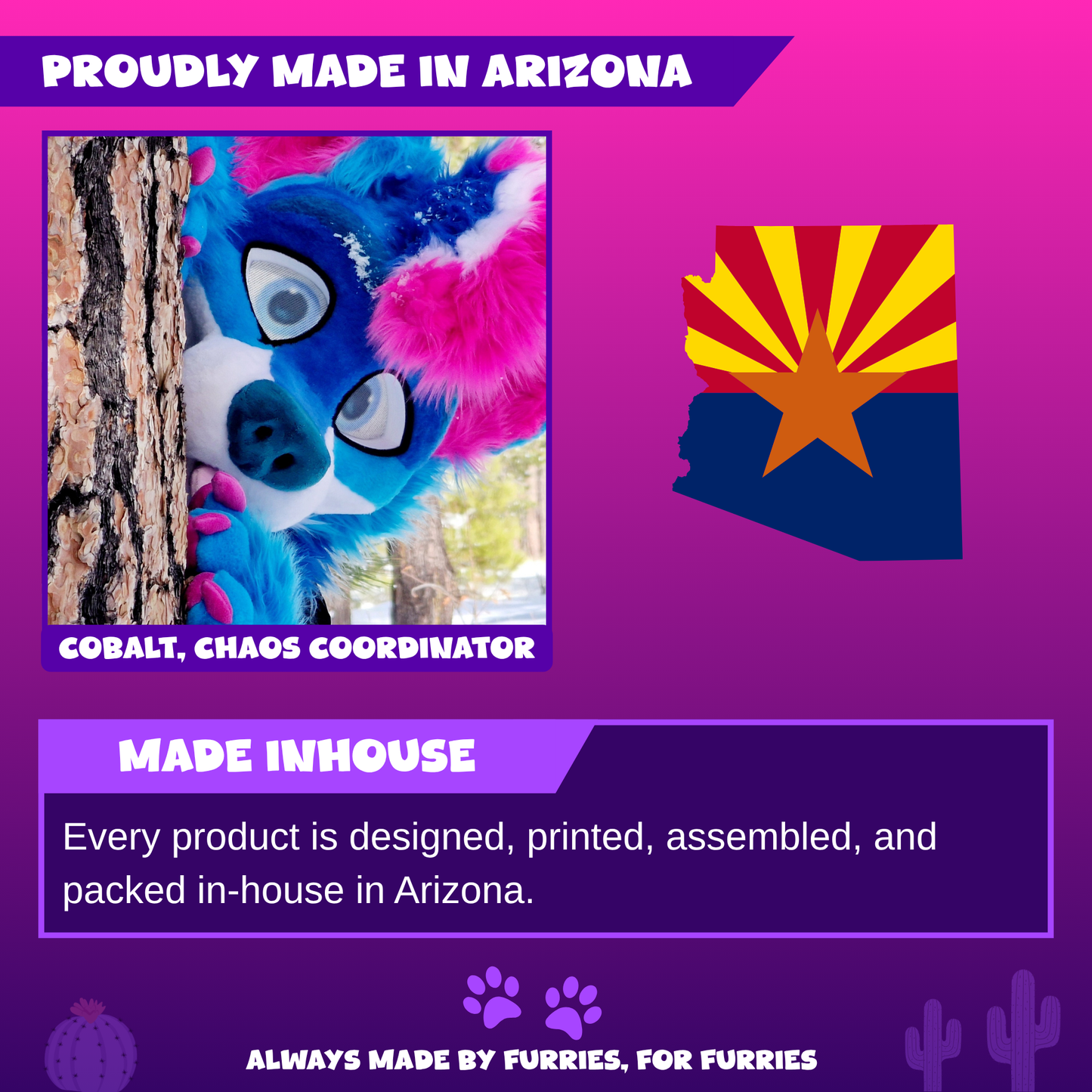The Fursuit Cleaner